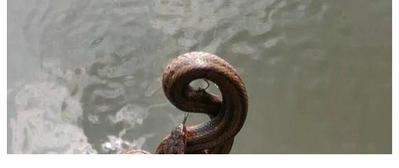 除了钓不到鱼，啥都能钓到！盘点那些年钓到过的奇葩物