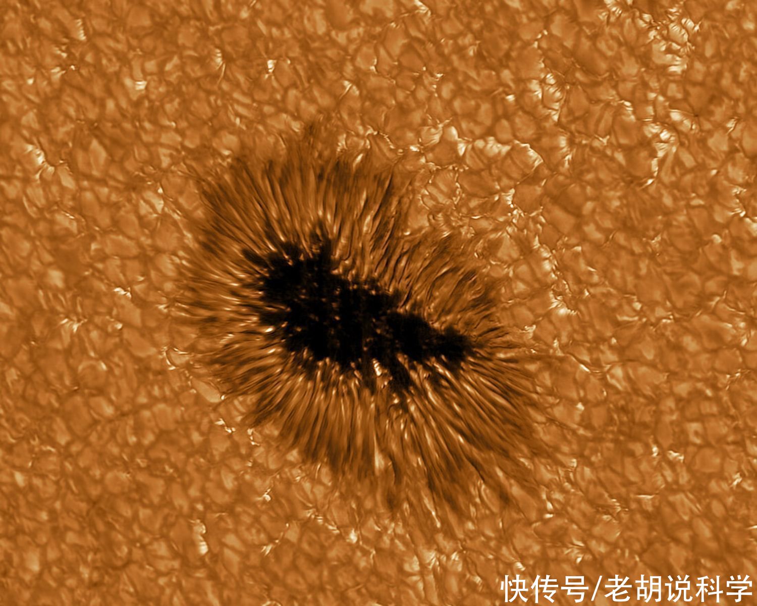 太阳耀斑 天文学家已经可以预测未来的太阳黑子