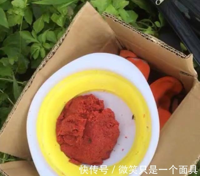 三伏天垂钓,九一八鱼饵这样配才叫真的好,大鲫鱼大鲤鱼挤满钓点!