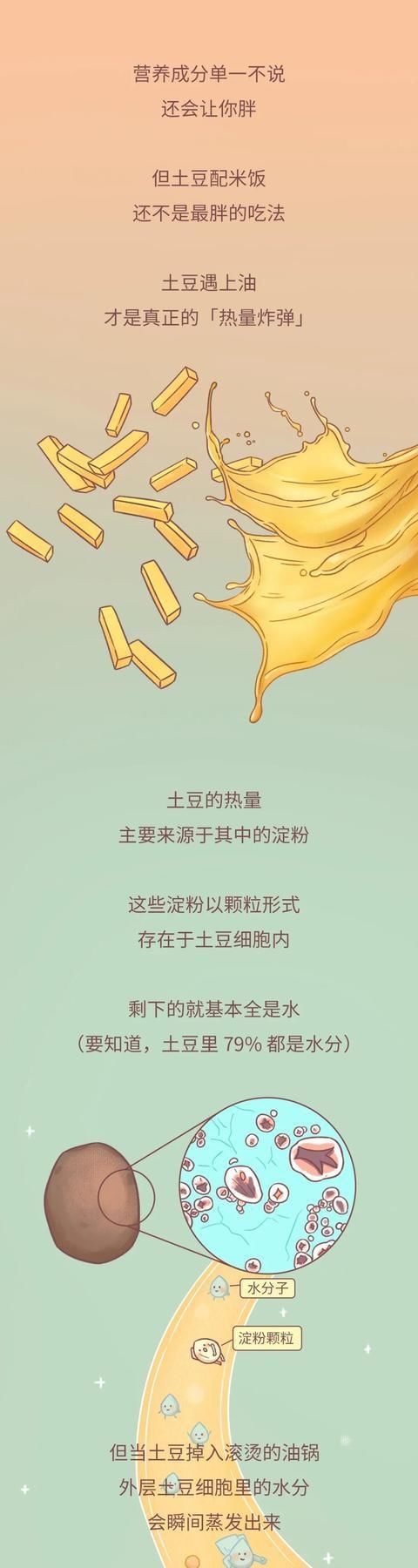 炒土豆丝|一个秘密：土豆别和米饭一起吃