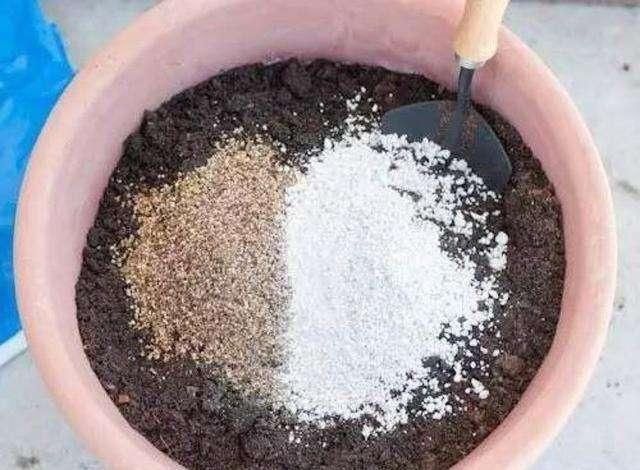 这4种土不能养花，很容易招虫烂根，养啥花都活不久