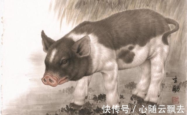 事业|10月26~29号,多福多财,3生肖事业高升,奋斗终有回报