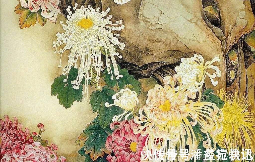 菊花$元稹最经典的一首咏菊诗,写出了不一样的菊花,通篇美得令人心醉