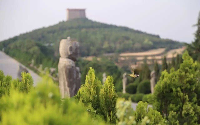 解释|武则天墓前有61个无头石人,千百年来难以解释,结果被两位农民解开