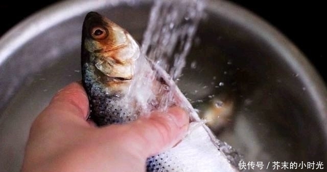 a23|它是被“误解”最多的鱼,一斤只要10元,营养价值不比甲鱼差