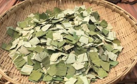 冬瓜皮的营养你永远想不到,赶紧来看看吧!一定要知道哦