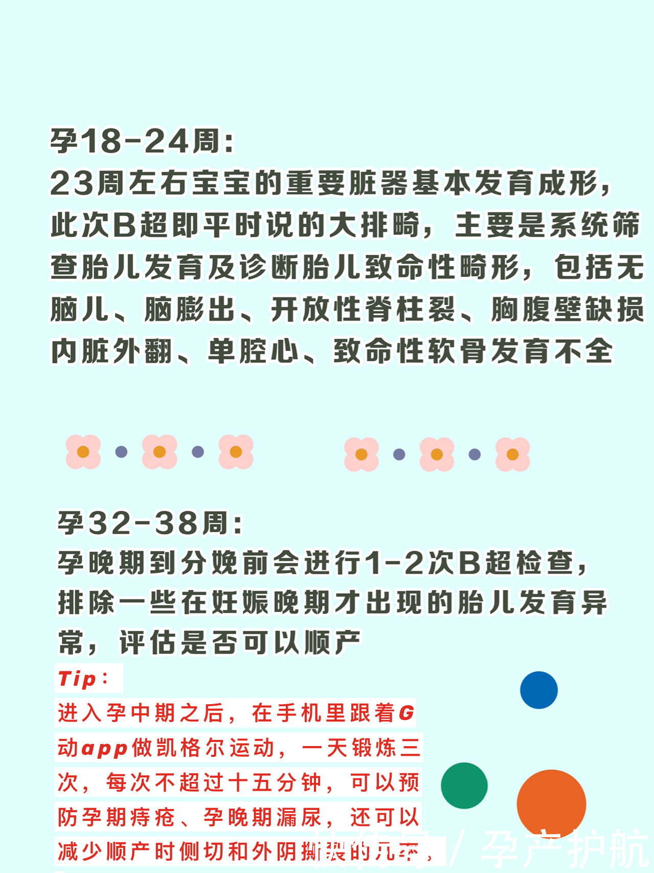 术语大揭秘|手把手教你看懂孕检B超单| 产科医生