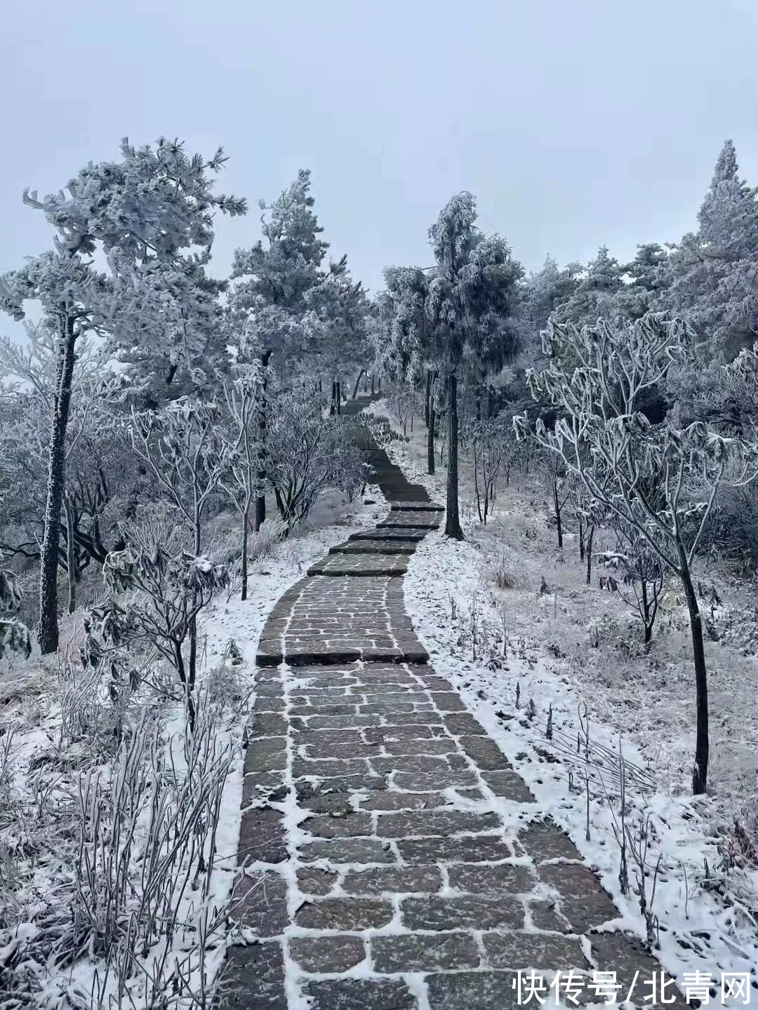 云海|太美了！台州最新雪景！括苍山跌至-10℃，再现云海奇观