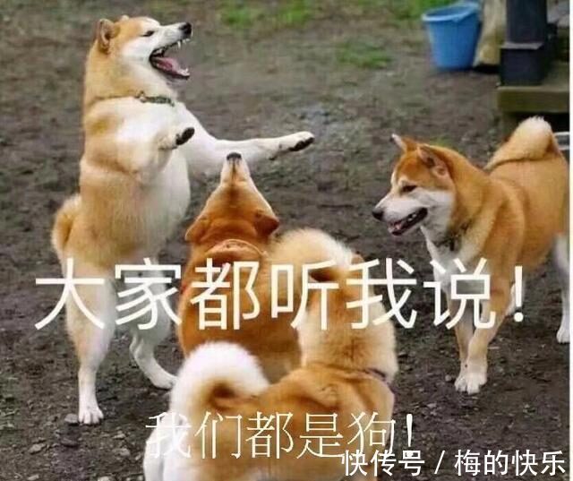 |幽默笑话:随后好几天,姐夫都在努力回忆喝醉的那天晚上到底干啥