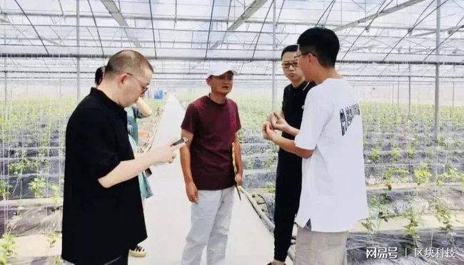 马云|万众期待之下马云首次现身，他会重掌阿里拨乱反正吗？