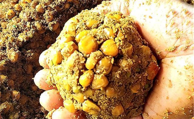 玉米|盛夏野钓大鱼,这些嫩玉米饵料效果不错,素饵之王的确很给力
