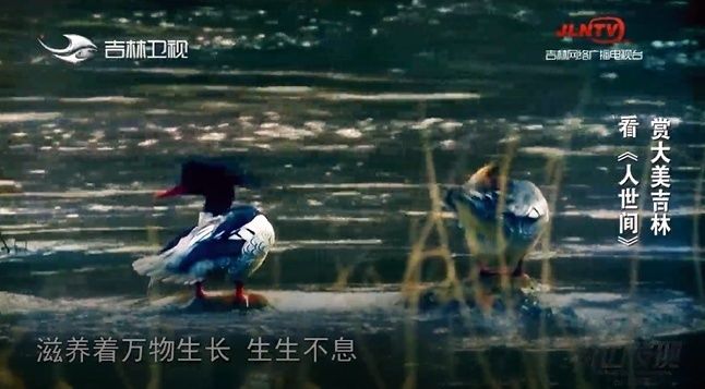 吉林|看《人世间》 赏大美吉林