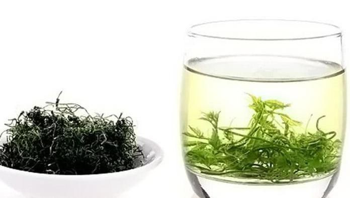 罗布麻茶|被称为“天然阿司匹林”,若能用叶子泡水喝,血栓被哗哗冲走