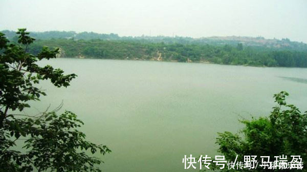 技巧|不要说肥水塘难钓,老钓友教你肥水塘垂钓技巧,连竿钓鱼不在话下