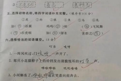 三年级学渣语文考94分，却凭借字迹获奖状，老师：题错得很不应该