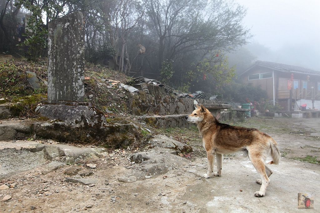 顺昌|自驾顺昌遇见秋的美丽，扯几许浪漫与精彩