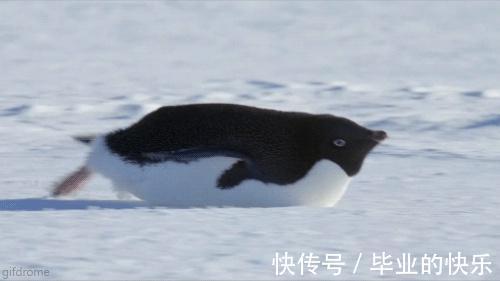 |「被窝段子20210915」要长大,要学会一个人抵挡千军万马