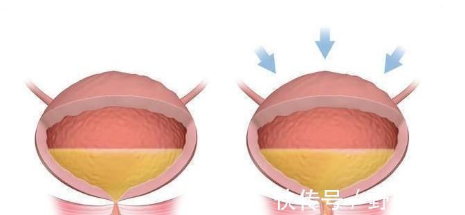 海带|女性有没有衰老,“下半身”会说实话,若一个没中,恭喜还年轻