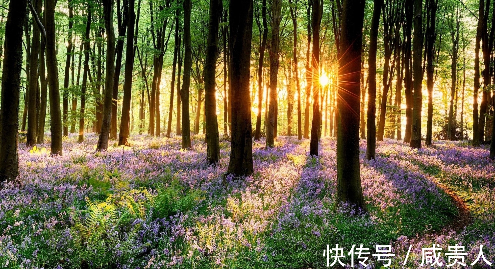 韦应物$哲理诗三首,世事荏苒几盈虚,茫茫难自料,心态最重要