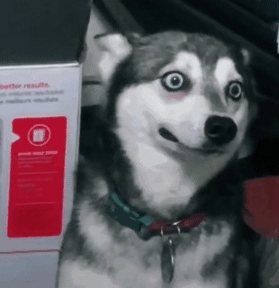 |搞笑GIF:当她转身的那一刻,我手里的板儿砖已经不淡定了。