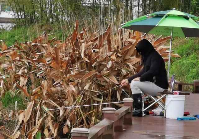 理想中的钓鱼VS现实中的钓鱼,新手看懵圈,老手看得扎心