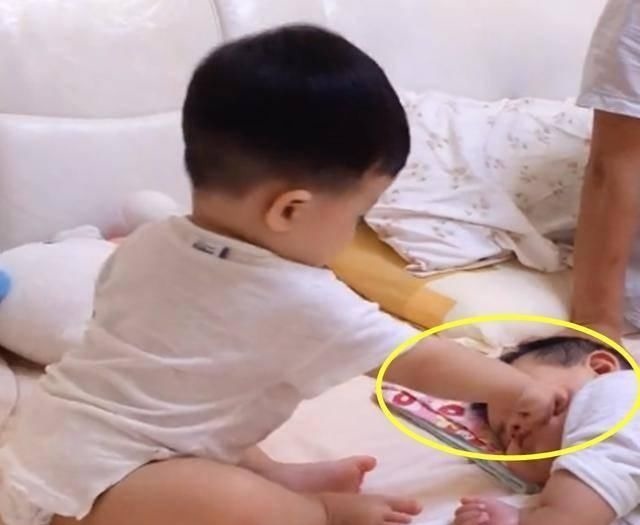 二胎政策|弟弟睡了哥哥睡觉的地方,哥哥这样对弟弟,逗的人忍不住笑
