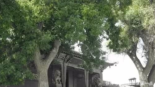 凉州|凉州诗词 松涛寺偶题