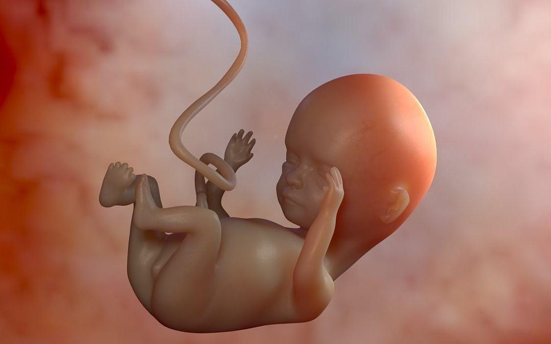 好孕|怀“小王子”的宝妈,身上有这4大特征,赶快接好孕吧