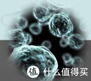 牙刷消毒器|哪款牙刷消毒器使用体验更佳？对比测试后还是东菱更胜一筹