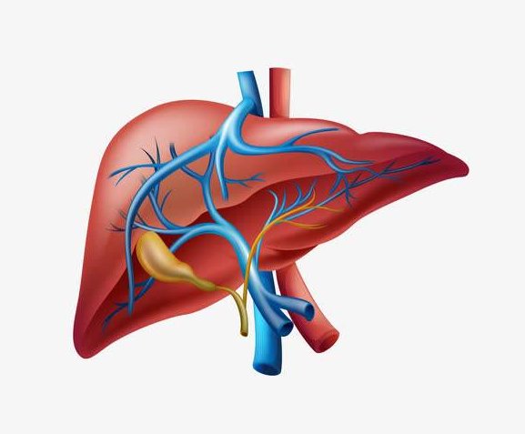  肝脏|50岁后，身体这3处越“干净”，寿命越长，占一个也值得恭喜！