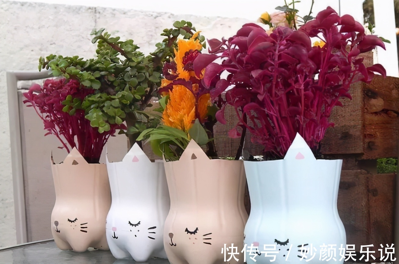 扦插植物,缺少更多花盆?将它们改造成容器,好用好看又省钱