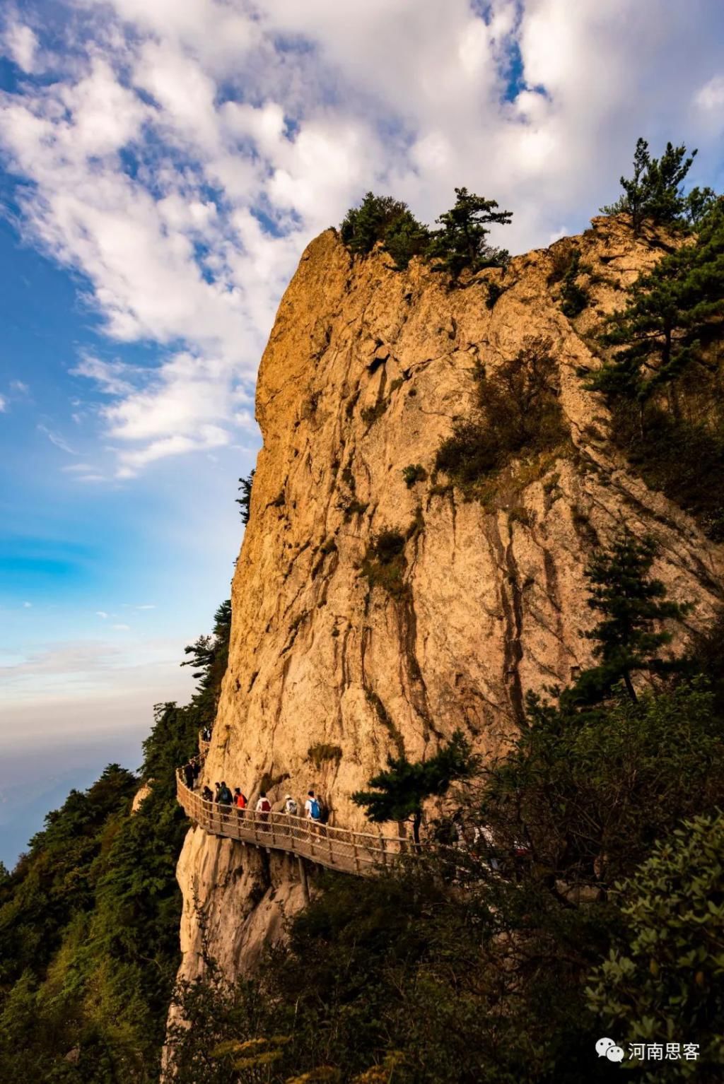  老君山|老君山：美景不止十里长