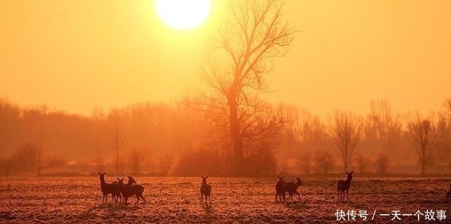 酬张少府|20首传诵千古的诗词,全是顶级名篇,每一首都值得背下来