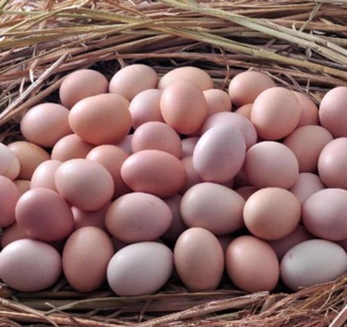 金桔|想长寿得会吃,以下食物每天换着吃,能够美容养颜,排毒抗衰!