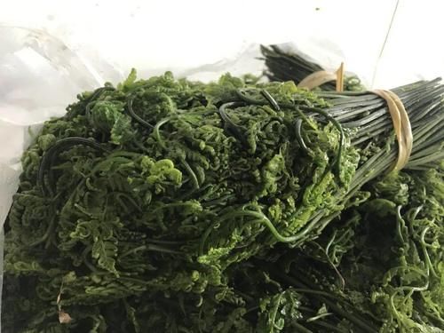 太全了！红河春季野菜大合集来了，快来圈出你最爱哪道菜？