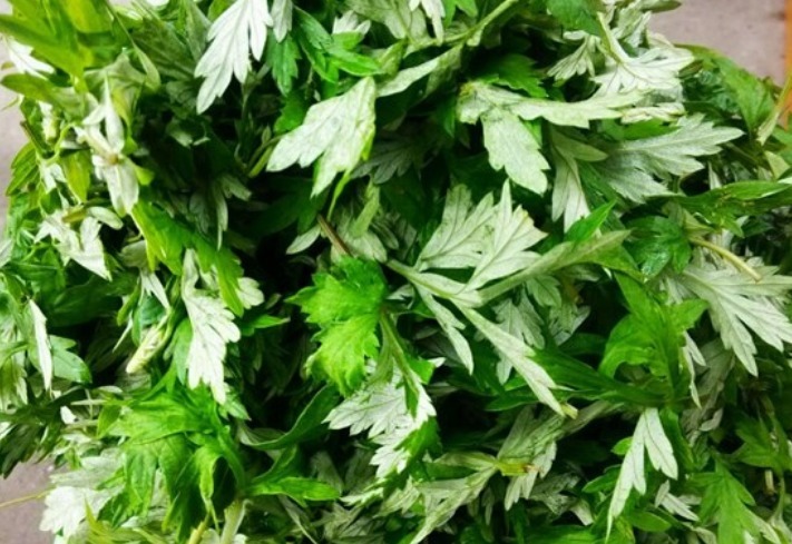 野菜|十个女人九个湿气重,这4种野菜每天吃几口,肤白更显年轻!