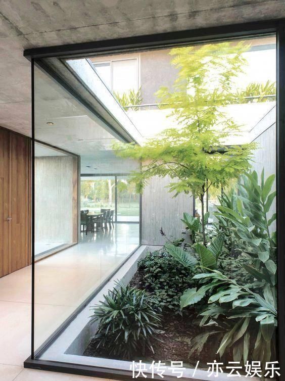 头一次见到户型不带院子,偏偏要在室内建庭院,没想到还这么漂亮