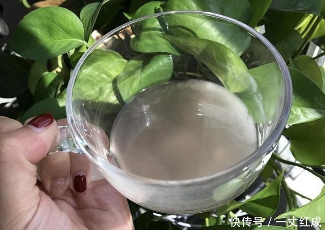 胃病|消化科主任:治胃病超简单,1种“饮料”连喝1月,清幽门除胃病