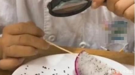 走红|海底捞又走红了,顾客要吃无籽火龙果,服务员一波操作后服气了!