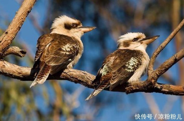 山海经|被质疑了3000年的神话传说,如今终于被证实,很可能不是华夏文明