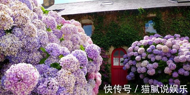 这9种花园,随便1个都美上天了,有一种这辈子就满足了!