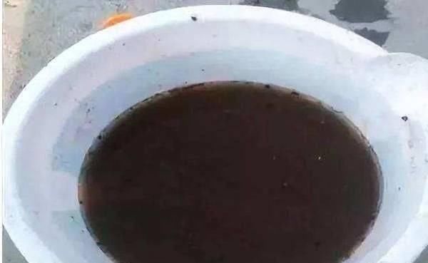 土壤|盆土变硬如“石头”,不用换盆,浇这“2种水”,比新土还松软