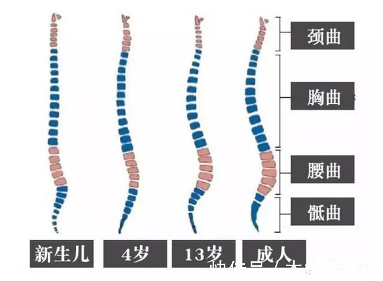 奶粉|不要对新生儿做这11件事，第5和第8尤其要注意！