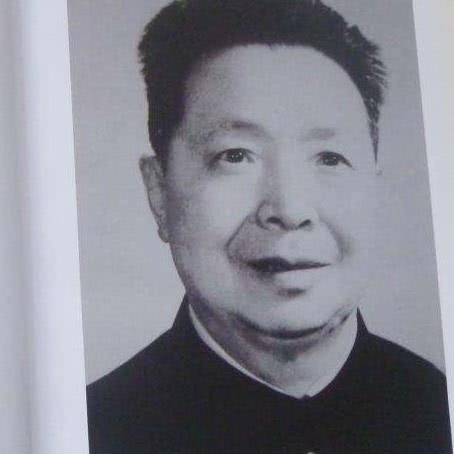 谭启龙|兵团司令授上将，他是政委为何没授衔？他的成就大将也比不了