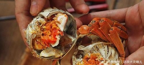 忽悠|买螃蟹不要随便挑,牢记这4点,老板一看你就是行家,不敢忽悠你