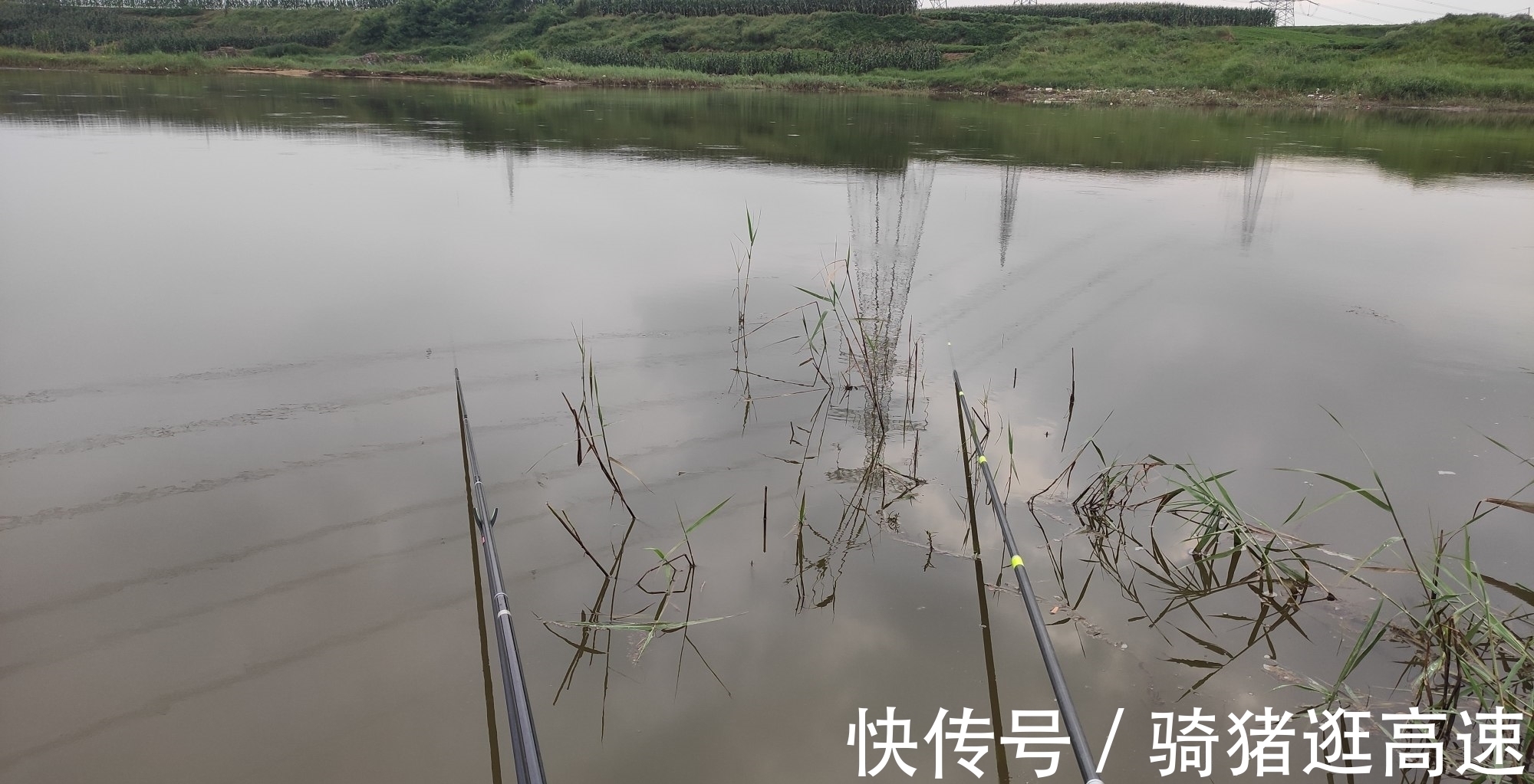 钓位|钓鲫鱼20多年,才发现秋季钓鲫鱼最实用的四招,鱼获翻倍就靠它了