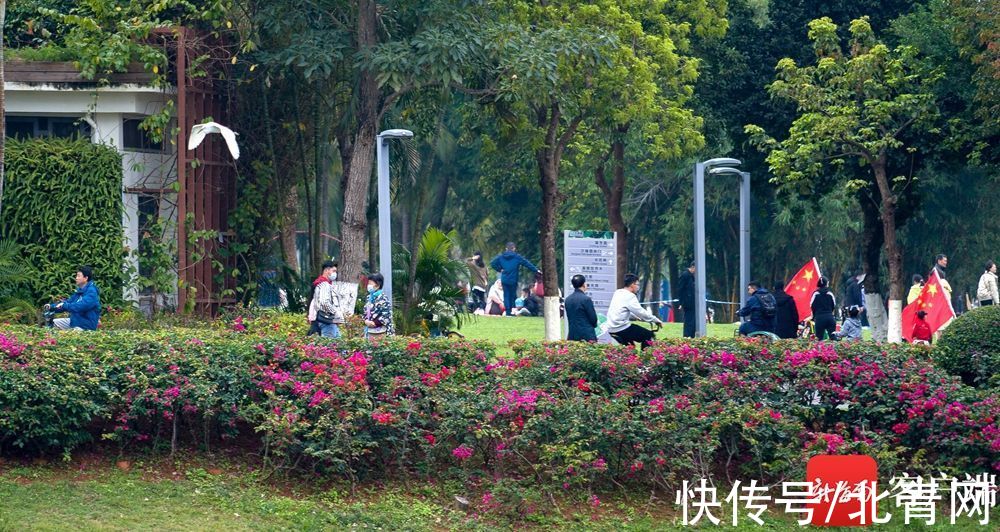 海口万绿园：喜上枝头春意闹 立春时节踏青欢|组图 | 海口市