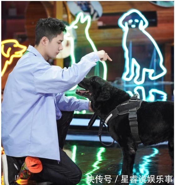 王一博掉马了，粉丝在《天天向上》看到他后，不敢再当女友粉