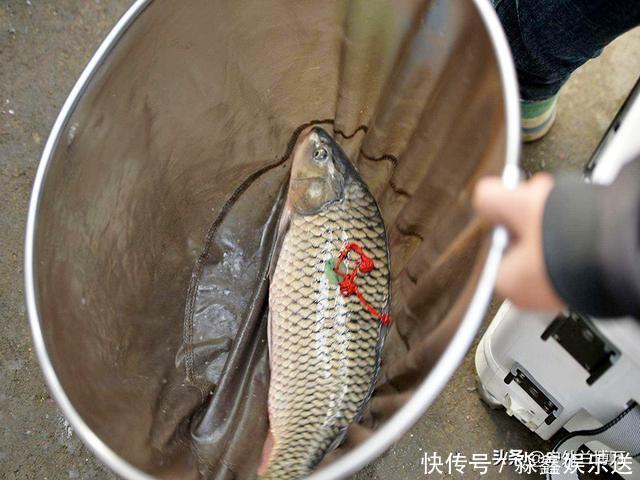 只因钓不好鱼,自己也开了一个鱼塘,误打误撞半年赚了一套房