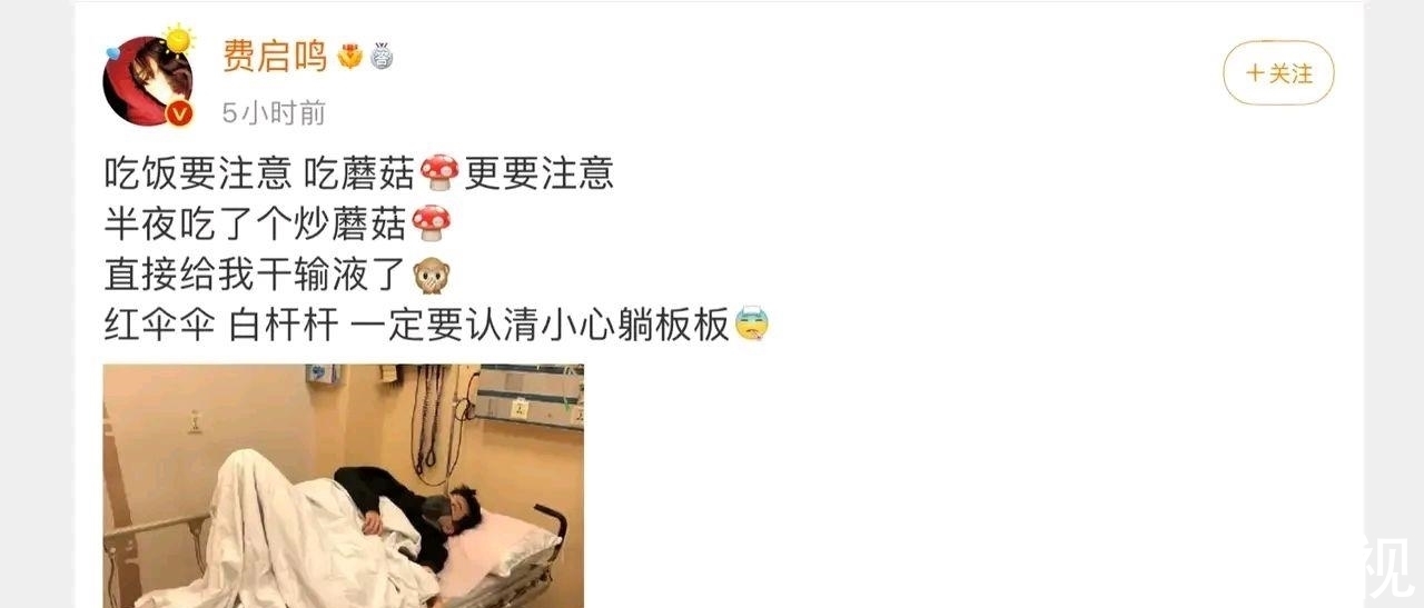 马思纯《断桥》值得期待？费启鸣误吃毒蘑菇？周深太不容易了？